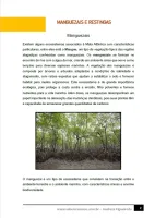 090 - Ciências - Biomas Brasileiros - Manguezais e Restingas - 7º ano - PDF com 13 páginas - Foto 2