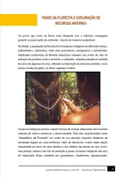 093 - Ciências - Biomas Brasileiros - Povos da Floresta e Exploração de Recursos Naturais - 7º ano - PDF com 7 páginas - Foto 2