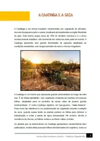 297 - Ciências - Biomas Brasileiros - Caatinga - 7º ano - PDF com 6 páginas - Foto 2