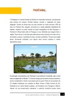 296 - Ciências - Biomas Brasileiros - Pantanal - 7º ano - PDF com 6 páginas - Foto 2