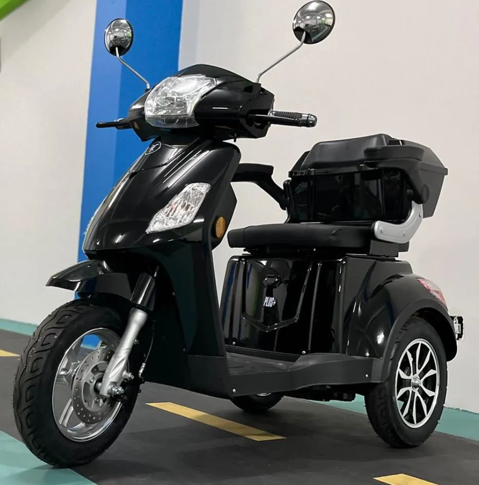 TRICICLO COM MARCHA RÉ BIKEMOTO  650w 2026