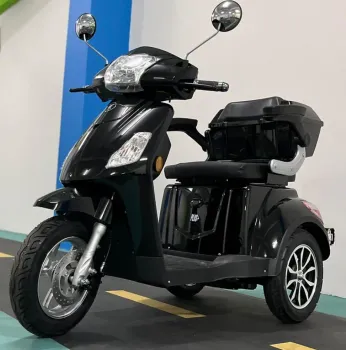 TRICICLO COM MARCHA RÉ BIKEMOTO  650w 2026