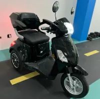 TRICICLO COM MARCHA RÉ BIKEMOTO  650w 2026 - Foto 3