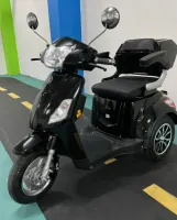 TRICICLO COM MARCHA RÉ BIKEMOTO  650w 2026 - Foto 7