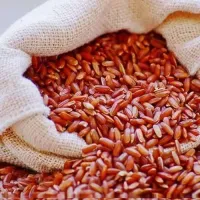 Arroz Vermelho Integral Granel - Foto 2