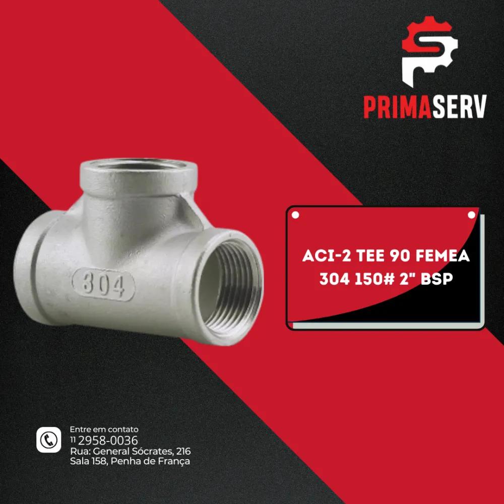 ACI-2 TEE 90 FEMEA 304 150# 2" BSP