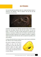 317 - Ciências - Evolução da Vida na Terra - Os Fósseis - 5º ano - PDF com 12 páginas - Foto 2
