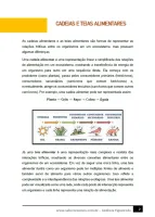 291 - Ciências - A Vida na Terra - Cadeias e Teias Alimentares - 6º ano - PDF com 6 páginas - Foto 2
