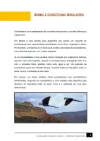 292 - Ciências - Ecossistemas Brasileiros - Bioma - 6º ano - PDF com 13 páginas - Foto 2