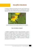 293 - Ciências - Ecossistemas Brasileiros - Relações Ecológicas - 6º ano - PDF com 7 páginas - Foto 2