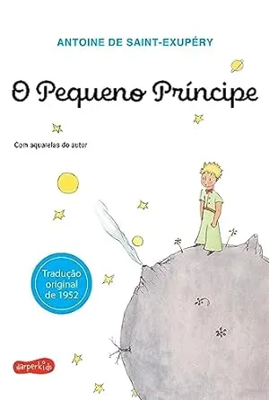 O PEQUENO PRINCIPE (PRODUTO USADO - MUITO BOM)