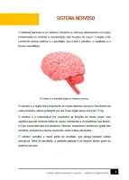 301 - Ciências - O Corpo Humano - Sistema Nervoso - 6º ano - PDF com 8 páginas - Foto 2