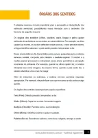 302 - Ciências - O Corpo Humano - Órgãos dos Sentidos - 6º ano - PDF com 10 páginas - Foto 2