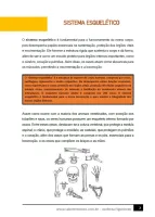 303 - Ciências - O Corpo Humano - Sustentação e Movimento - Sistema Esquelético - 6º ano - PDF com 6 páginas - Foto 2