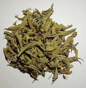 Verbena (Verbena officinalis) - 10 gramas de folhas inteiras