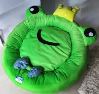Caminha Frog - Foto 2