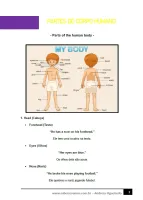 566 - Inglês - Vocabulário - Partes do Corpo Humano - 6º ano - PDF com 6 páginas - Foto 2