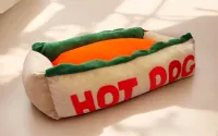 Caminha Hot Dog - Foto 2
