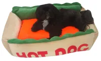Caminha Hot Dog - Foto 6