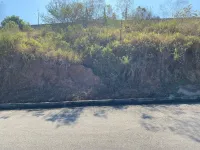 Vende-se lote em condominio fechado,chamado Cidade Jardim, em Conselheiro Lafaiete. - Foto 4