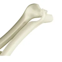 Especulo Nasal Descartavel KOLPLAST - Foto 3