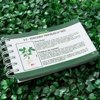 Guia prático de campo da Soja - 1ª edição - Foto 3