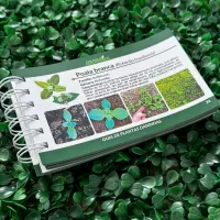 Guia prático de campo da Soja - 1ª edição - Foto 4