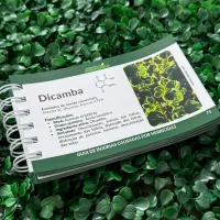 Guia prático de campo da Soja - 1ª edição - Foto 5