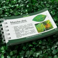 Guia prático de campo da Soja - 1ª edição - Foto 6