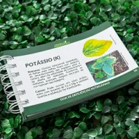 Guia prático de campo da Soja - 1ª edição - Foto 7