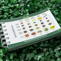 Guia prático de campo da Soja - 1ª edição - Foto 8