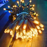 Cordão Pisca Externo Fixo 100 Led Branco Quente - Fio Verde Macho e Femia 10 metros - Foto 5