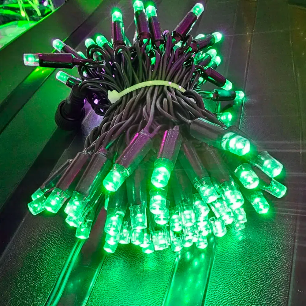 Cordão Pisca BLINDADO Externo Fixo 100 Led VERDE - Fio reforçado Verde Macho e Femia 10 metros Imagem