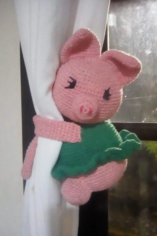 Abraça cortinas Imagem