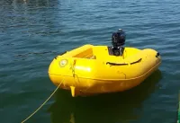 MAIN 34 PÉS – ANO 1989 - Foto 6