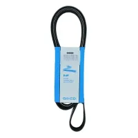 Correia Poly V Dayco Renault Megane 1.6 16V 1998 até 2005  GIR / ALT / ACD  5PK1105