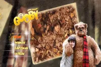 DVD MEU AMIGO GOOBY - Foto 2