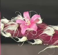 Lepismium cruciformis (Pink rhipsalis - cuia13) - Foto 3