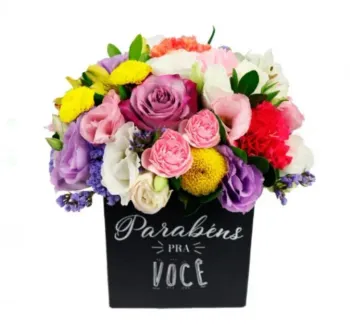12,0 x 12,0 x 10,5 - Cartonagem (Estampada )