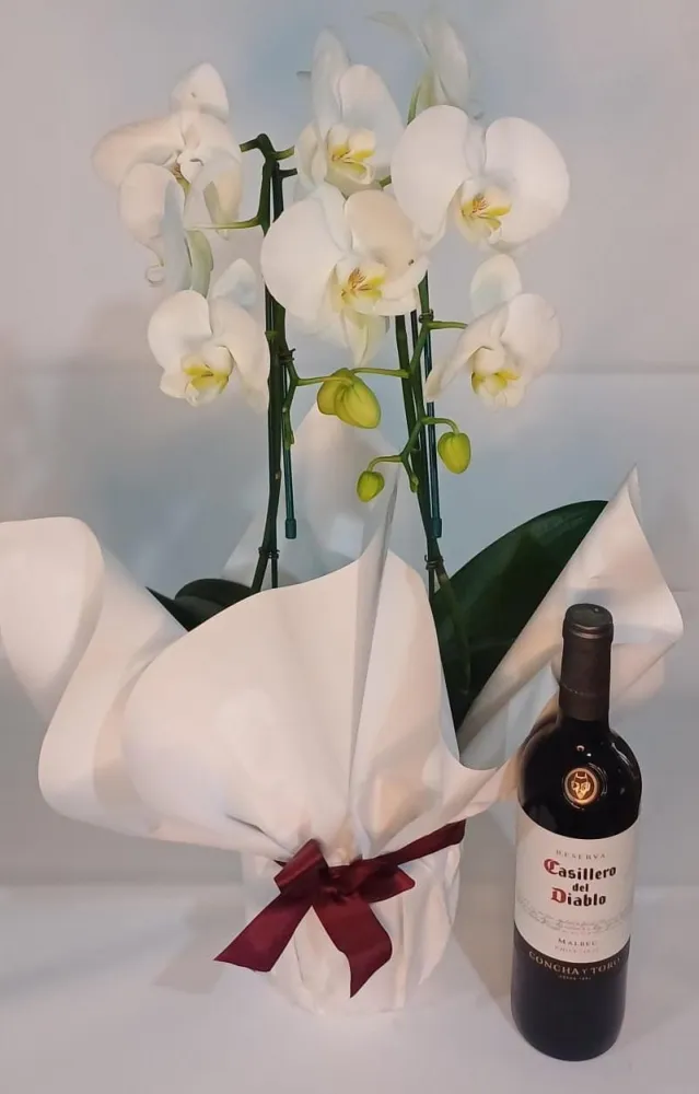Combo Elegância: Casillero del Diablo Tinto e Orquídea Branca Imagem