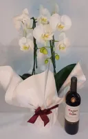 Combo Elegância: Casillero del Diablo Tinto e Orquídea Branca