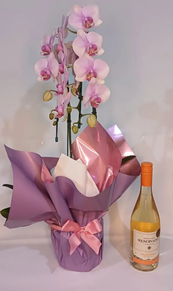 Orquidea Phalaenopsis Cascata Lilás 2 Hastes : Névoa Lilás e Vinho Branco Imagem