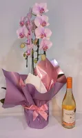 Orquidea Phalaenopsis Cascata Lilás 2 Hastes : Névoa Lilás e Vinho Branco