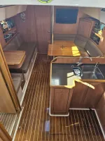 DELTA 41 PÉS – ANO 2020 - Foto 8