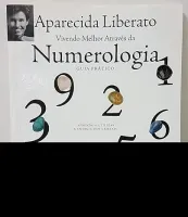 VIVENDO MELHOR ATRAVES DA NUMEROLOGIA (PRODUTO USADO - BOM)