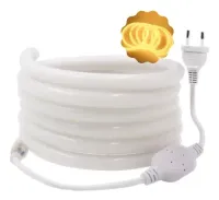 Mangueira De Led 360 grau 100m  - Foto 4