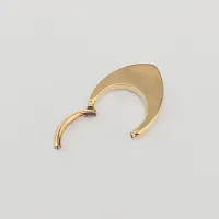 Argola em Titânio PVD DOURADO GOTA com Pedras TIT19 - Foto 3