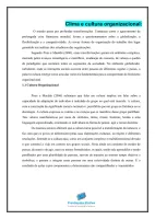 Apostila SANEPAR 2024 Administrador - Foto 3