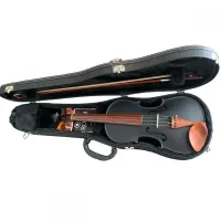 VIOLINO 4/4 ROLIM PRETO FOSCO - Foto 2
