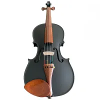 VIOLINO 4/4 ROLIM PRETO FOSCO - Foto 3